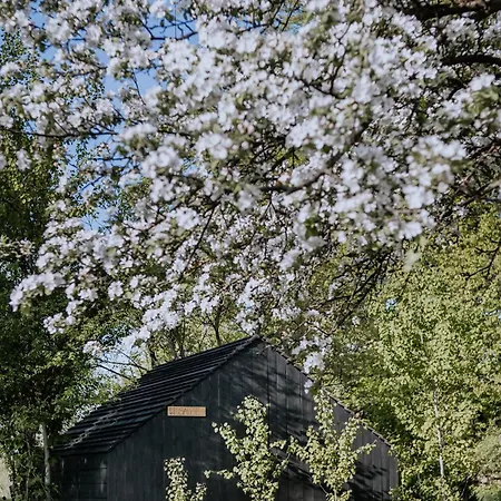 Siedlisko Raz Sie Zyje - Glamping * Wolka (Wegrow)